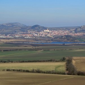 beim Südmährerkreuz - Blick zu Nikolsburg und den Pollauer Bergen