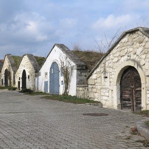 Kellergasse am Kellerring - Breitenbrunn