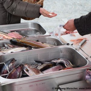 Vöcklabruck Fischhändler