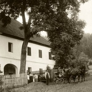 Kutschenfahrt