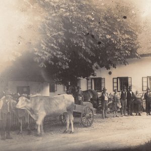 Bauernfamilie mit Kastanienbaum