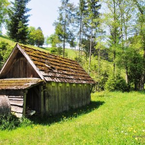 Medium 'Gedenkstätte Randegg' in der Kategorie 'Denkmäler und Gedenkorte'