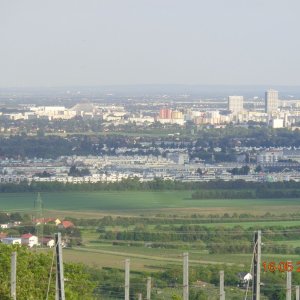 Blick auf Wien vom Bisamberg