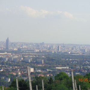 Blick auf Wien vom Bisamberg