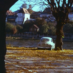 Herbst in Steyr