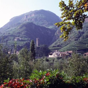 Burgruine Treuenstein