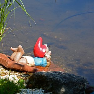 Sommerfreuden im Zwergenpark Gurk