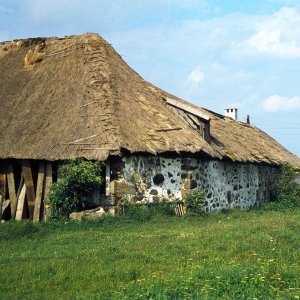 Hellmonsödt, strohgedecktes Bauernhaus oder Stadel