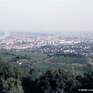 Blick auf Wien vom Cobenzl