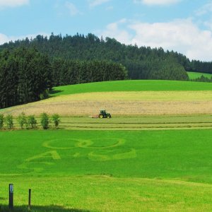 In die Wiese geschrieben