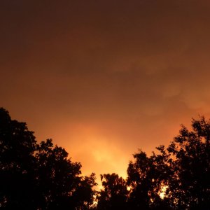 Sommergewitter im düsteren Norden