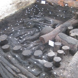 nach 1000 Jahren aus dem Erdreich geborgen. Altes Holz noch in der Formatio