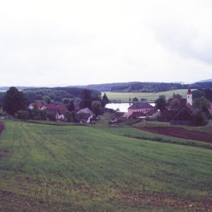 Im Waldviertel