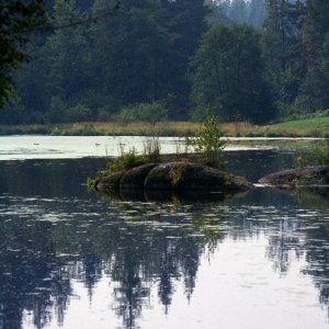 Im Waldviertel