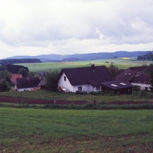 Im Waldviertel