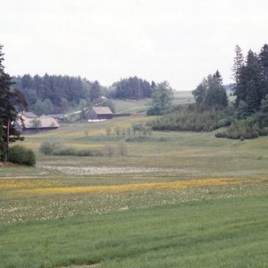 Im Waldviertel