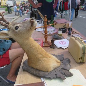 Flohmarkt Graz Herbst 2015