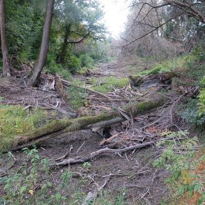 in der Stopfenreuther Au