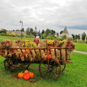 Herbstgruß