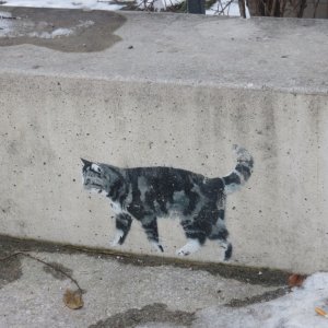 Katze Graffiti Innsbruck