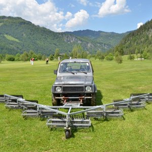 Medium 'Rasentrimmer' in der Kategorie 'Autos, Reise und Verkehr'