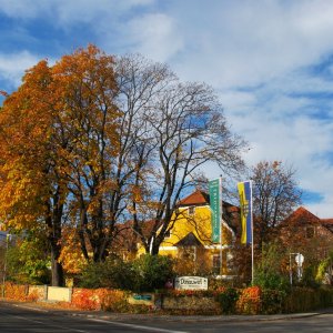 Weißenkirchen in der Wachau im Herbstkleid