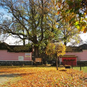 Herbstliches Strandbad