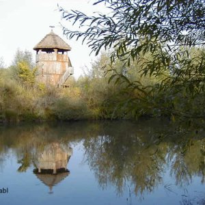 Vogelwarte an der Feistritz