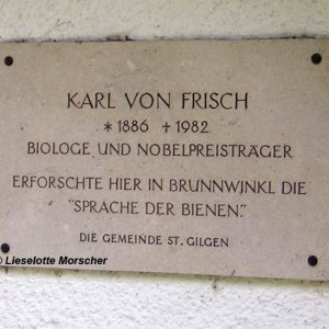 Karl von Frisch