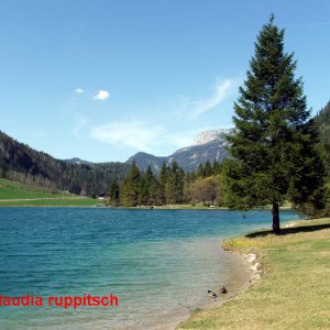 pillersee
