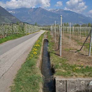 Offener Waal in Mitterlana (Lana)