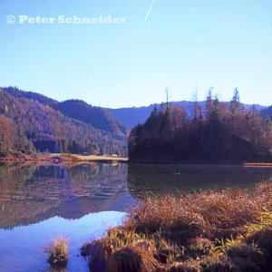 Am Weitsee