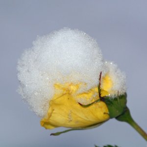 Erster Schnee in Klagenfurt