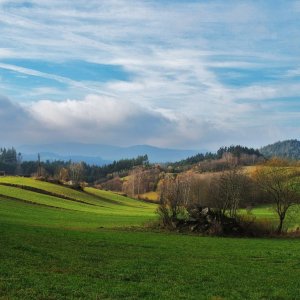 Waldviertler Hochland
