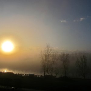 Morgennebel