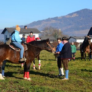 Pferdesegnung in St.Stefan im Lavanttal