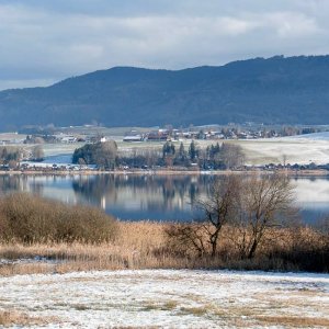 Wallersee - Blick Richtung Henndorf