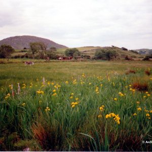 Ring of Kerry 1989