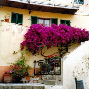 Porto Azzurro 1994