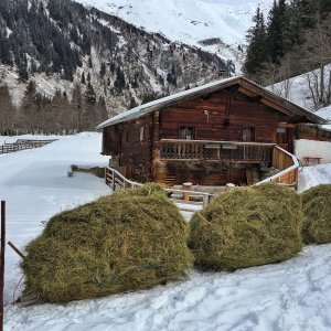 Heuziehen im Valsertal