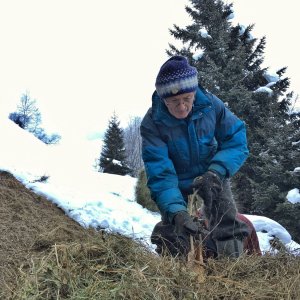 Heuziehen im Valsertal