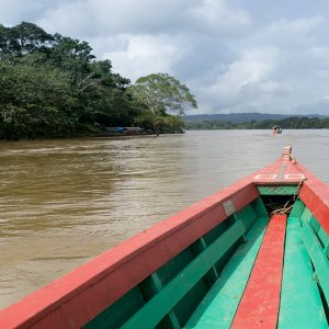 Río Usumacinta - 2