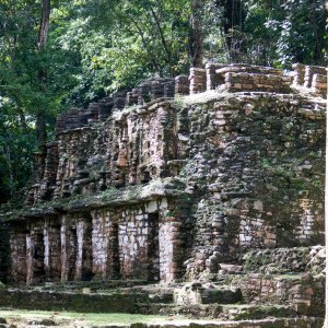 Yaxchilán - 1