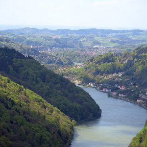 die Donau vom Predigtstuhl