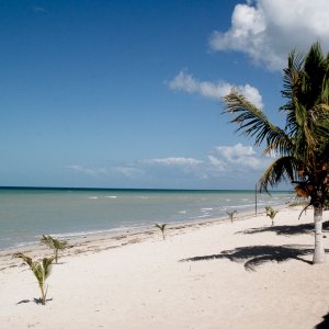 Strand nahe Campeche - 1