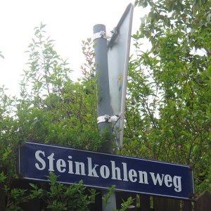 Steinkohlenweg