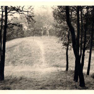 "Hausberg" bei Pleissing, Gem. Hardegg, Pol. Bezirk Hollabrunn