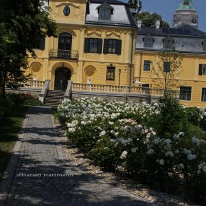 Medium 'Martinschlössl Klosterneuburg' in der Kategorie 'Städte und Stadtteilporträts'