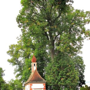 Meierhofkapelle