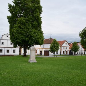 Holasovice